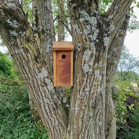 Maison De Caractere O Naturel Semesterbostad *