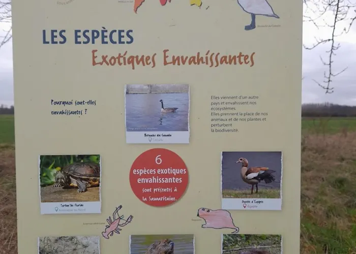 Maison De Caractere O Naturel 別荘 Buzancy